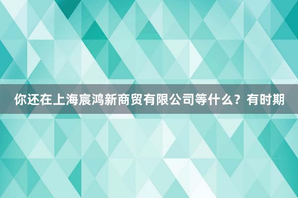 你还在上海宸鸿新商贸有限公司等什么？有时期