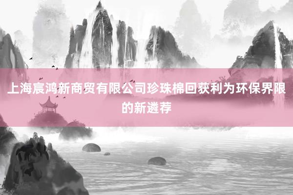 上海宸鸿新商贸有限公司珍珠棉回获利为环保界限的新遴荐